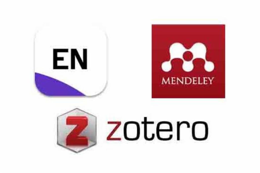 ref-management-logos